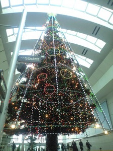 2010年11月25日クィーンズツリー