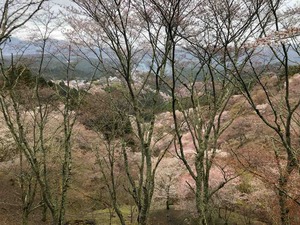 IMG_3415
