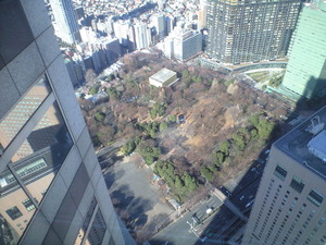 2011年1月18日新宿中央公園