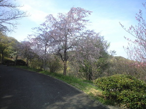 2011ǯ4��16���޿���