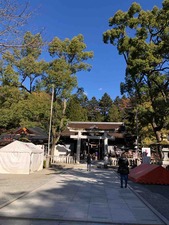 IMG_6857