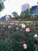 51a8f131.jpg
