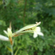 IMG_20200817_124811_550