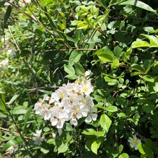 AB06614A-69E4-4EE3-AD86-6C8147348C3E