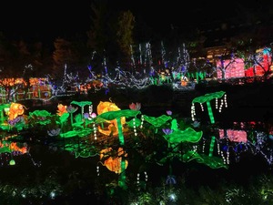 8CE3CBFB-EDE7-411A-AC92-B471584958F0