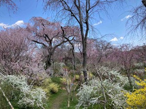 AAED5DB9-EC47-4A78-9CEC-617F9971842E