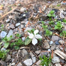 IMG_9087