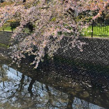 IMG_8254