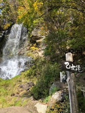 1603797370345_IMG_8628