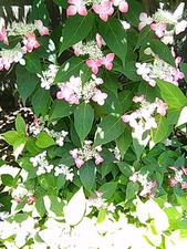 IMG_20170603_112917