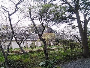 IMG_20170410_110955