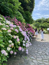 D55338EE-6E83-414C-B69A-343C606F091A