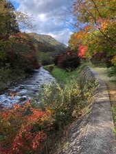 IMG_1594