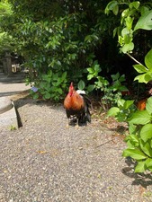 2DF9A98B-7E7C-47D8-86DC-76B4BFC84BA3