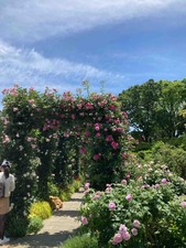 B9BE3D21-326B-40A0-8BC1-EF5E28135A61