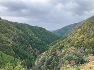 1CA08110-8601-4B96-BE80-AA52EE026098