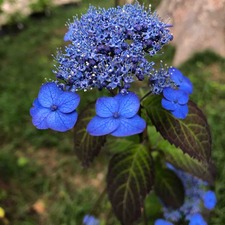 IMG_0023