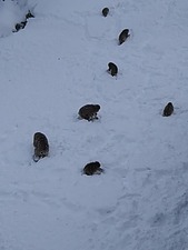 IMG_20170131_092706