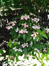 IMG_20170603_111732