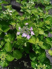 IMG_20180519_140658