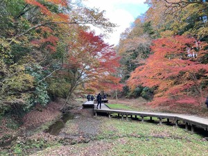 IMG_0200
