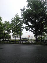 2009年6月1日緑の向こうの氷川丸