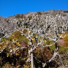 IMG_20210209_163856_906