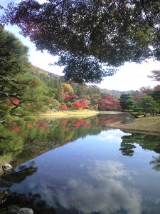 2010年11月16日浴龍池逆さもみじ