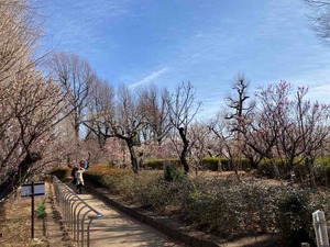 F0FAFC5B-ECE4-4A61-B4DD-D96B5097A0BD