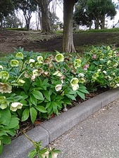 IMG_20170410_160629