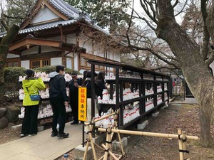 43AF32BE-3783-4379-A4ED-7985DFFD8352