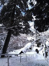 2017-12-14�������˻������餱�γ���