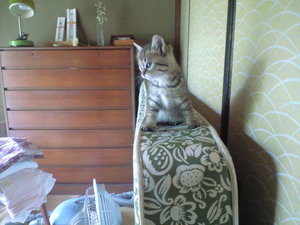 2010ǯ6��10�����Ӥ����