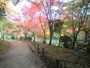 2010年11月17日府立植物園