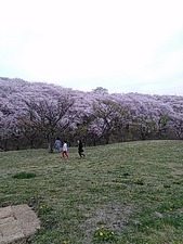 IMG_20170410_155630