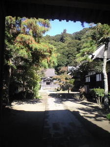 2010年11月19日円覚寺