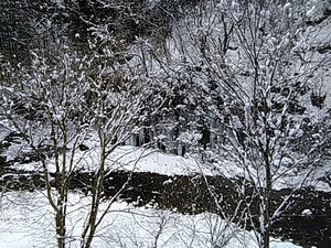 IMG_20180202_140738