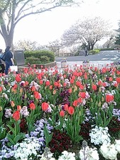 IMG_20180402_161232