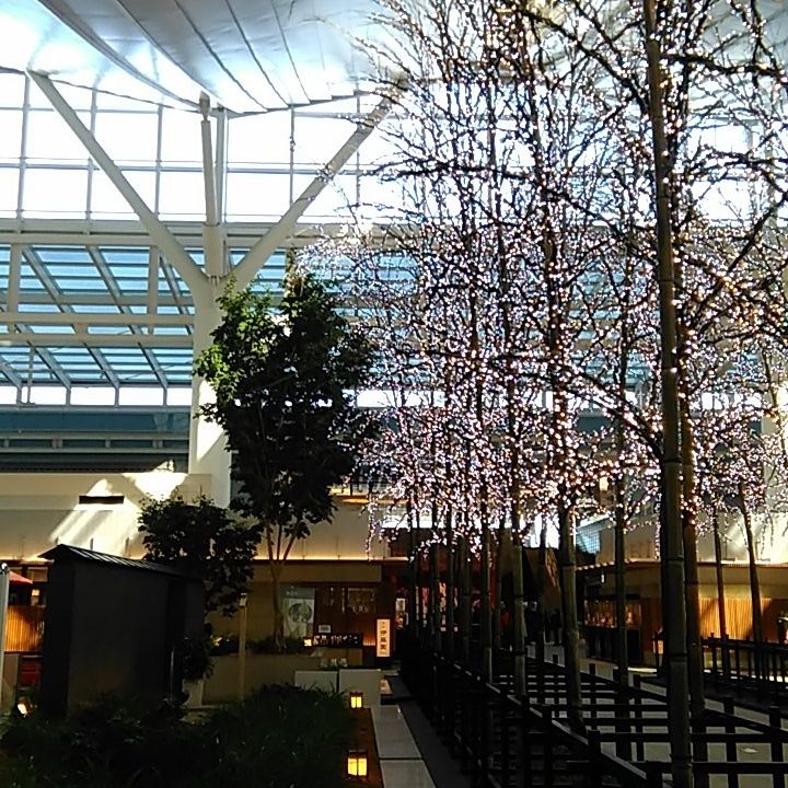 羽田空港に遊びに行った コガネムシのつぶやき