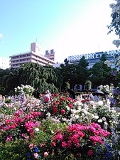 IMG_20170520_150445