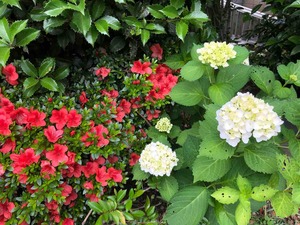 2610228D-C173-482C-AB13-476C3C1CFA01