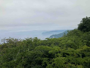 IMG_3509
