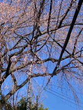 06F4E980-1D1B-4F82-8342-E506725249D0