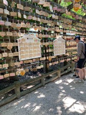 20A7E5C2-364D-43A8-936A-9A72551802BA