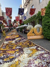 ADDC2683-3E8C-47F5-A00A-0E20055F7223