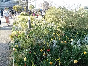 IMG_20180331_155847