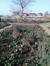 IMG_20180331_160007