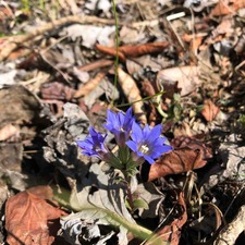 IMG_9104