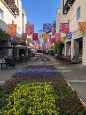 IMG_7418