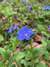 9CA56CDF-96AC-4527-9766-70584525D8E1